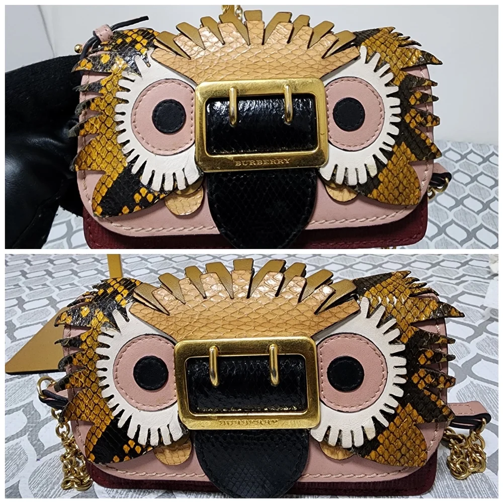 Burberry Owl Chain-Linked Crossbody Bag Multicolored - Picture 6 of 15